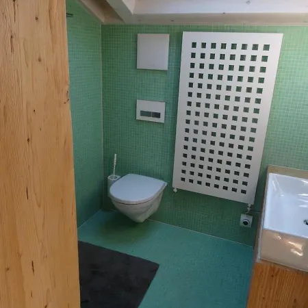 公寓 Oberriedstrasse 13 伦克